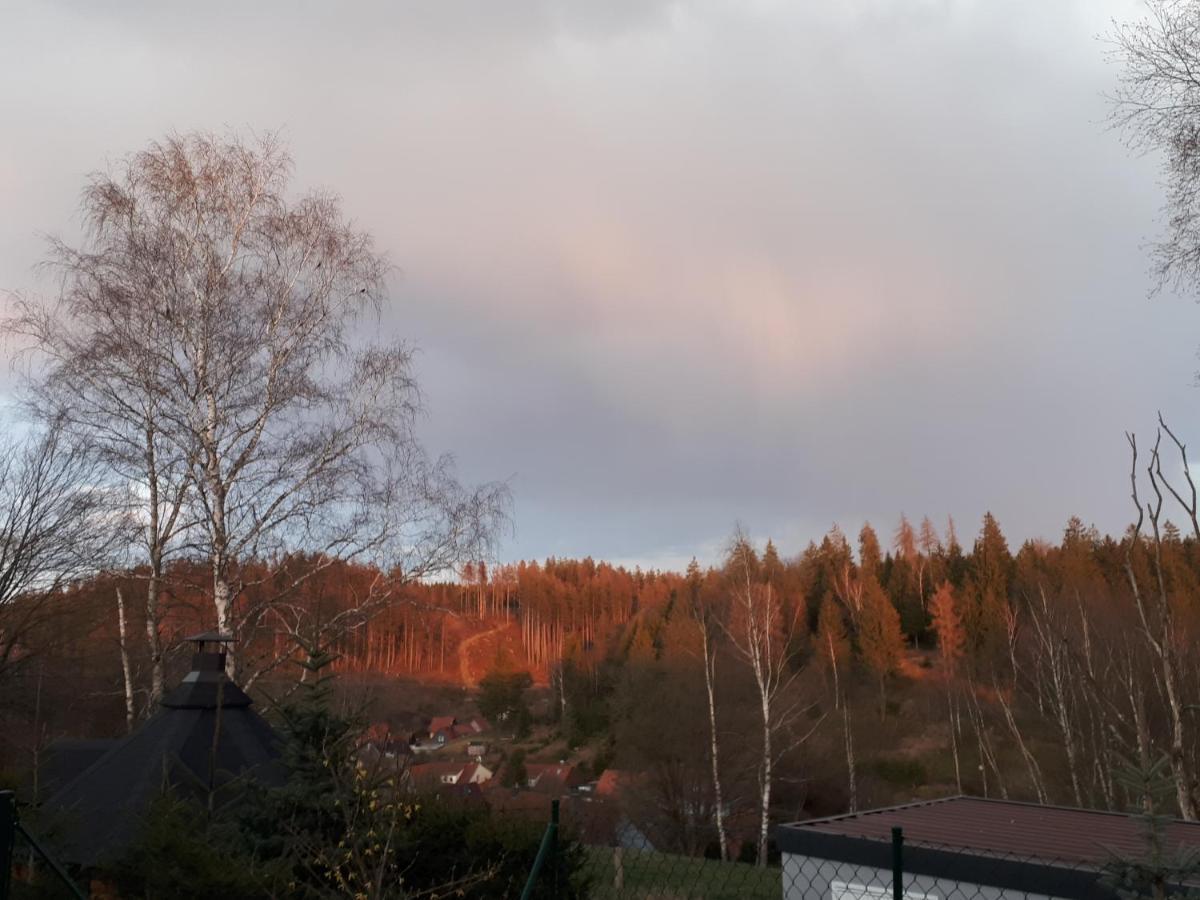 Behagliches Ferienhaus Zaunkoenig -Mit Kamin Und Sauna Танне Екстер'єр фото