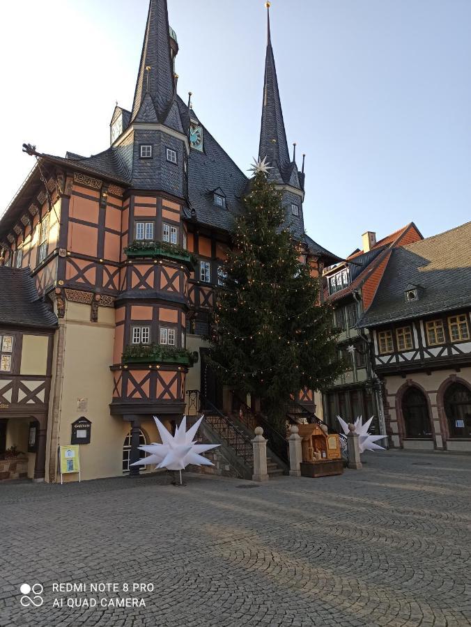 Behagliches Ferienhaus Zaunkoenig -Mit Kamin Und Sauna Танне Екстер'єр фото