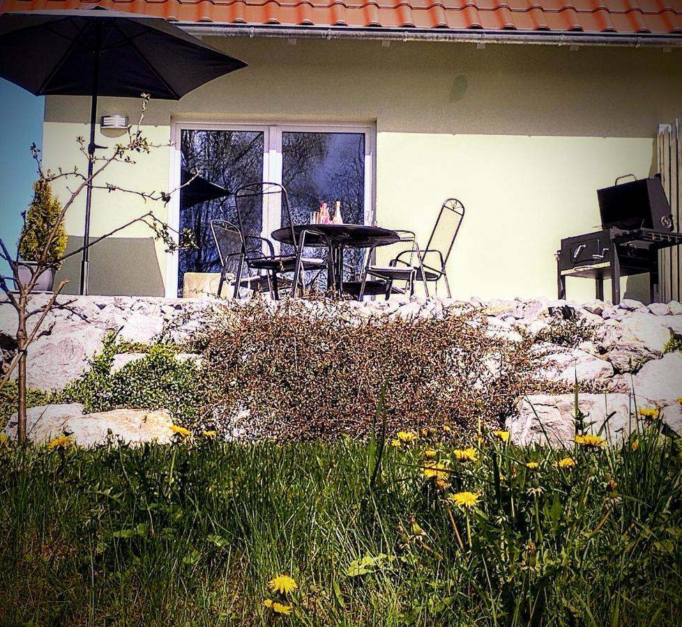 Behagliches Ferienhaus Zaunkoenig -Mit Kamin Und Sauna Танне Екстер'єр фото